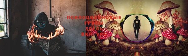 MESCALINE Каменногорск