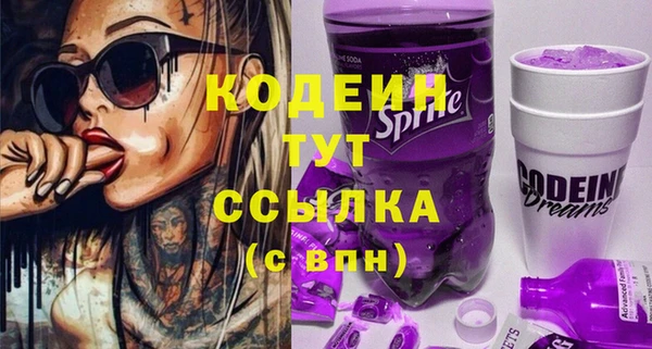 молекула духа Каменка