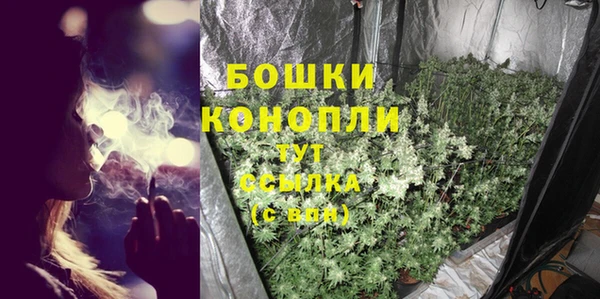 молекула духа Каменка