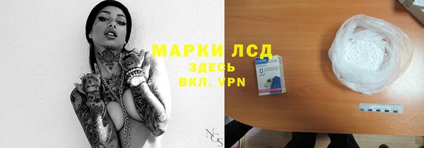 молекула духа Каменка