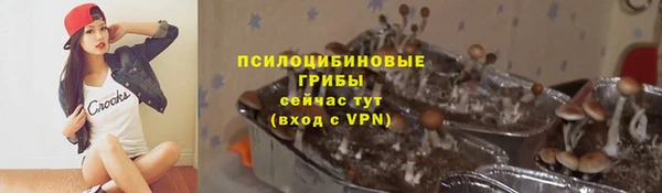 молекула духа Каменка