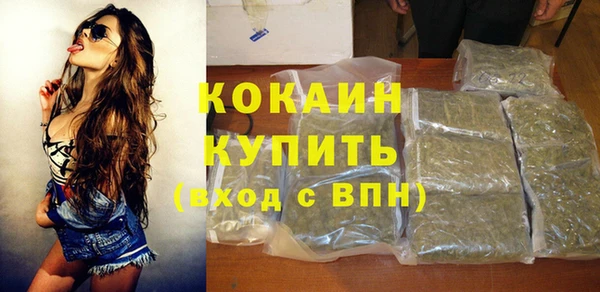 молекула духа Каменка